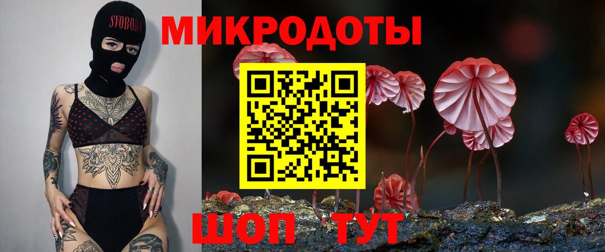 Псилоцибиновые грибы Psilocybe Шали