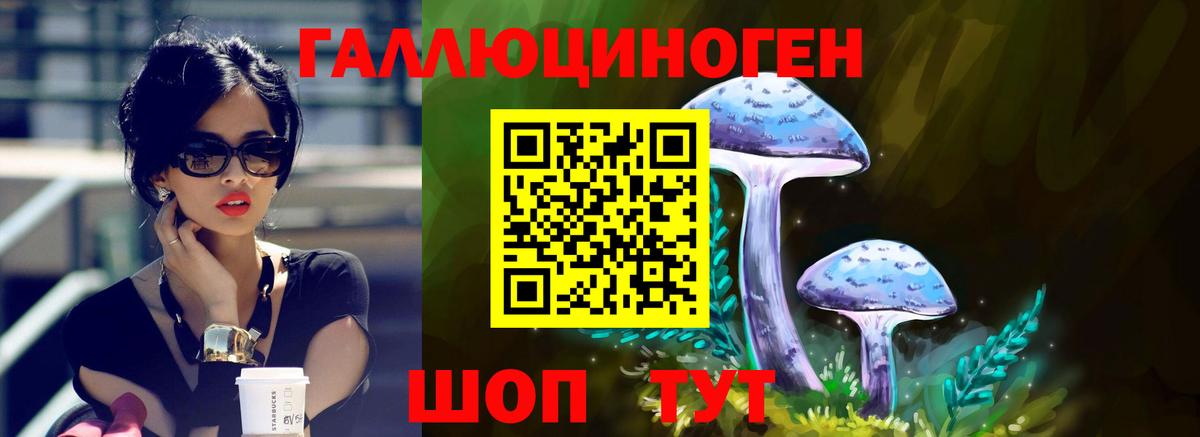 Галлюциногенные грибы прущие грибы  купить   Вход с VPN  Шали  Галлюциногенные грибы Psilocybe 